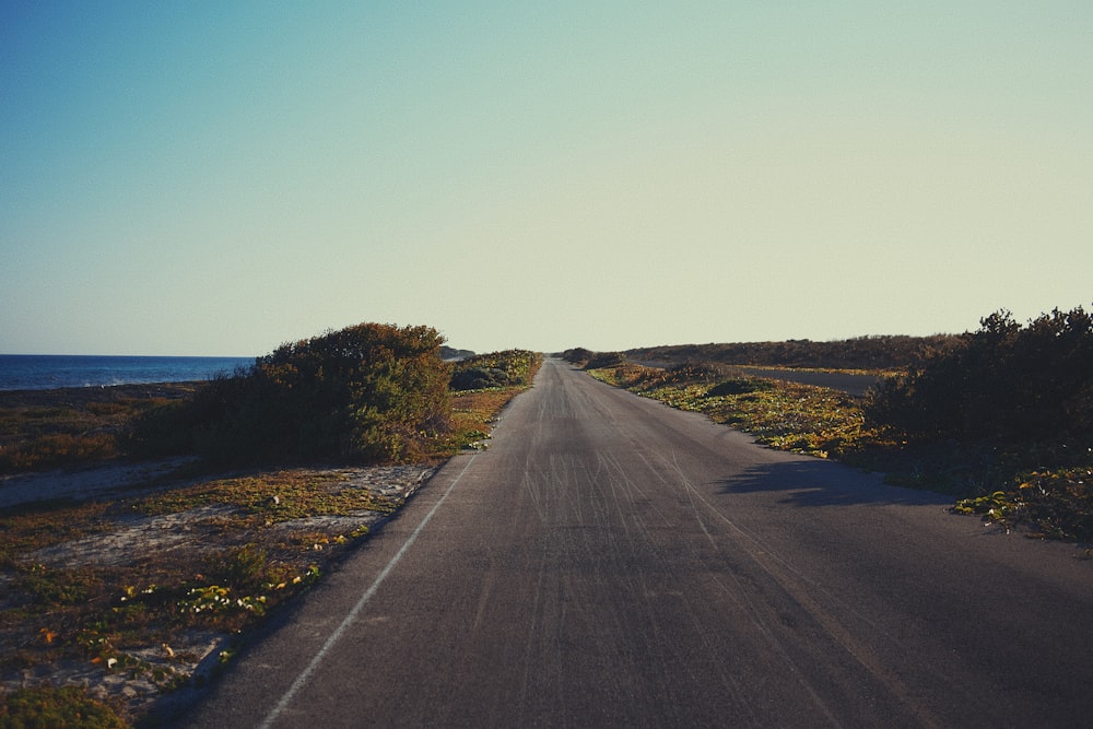 Carretera de asfalto gris entre árboles verdes bajo cielo azul durante el día