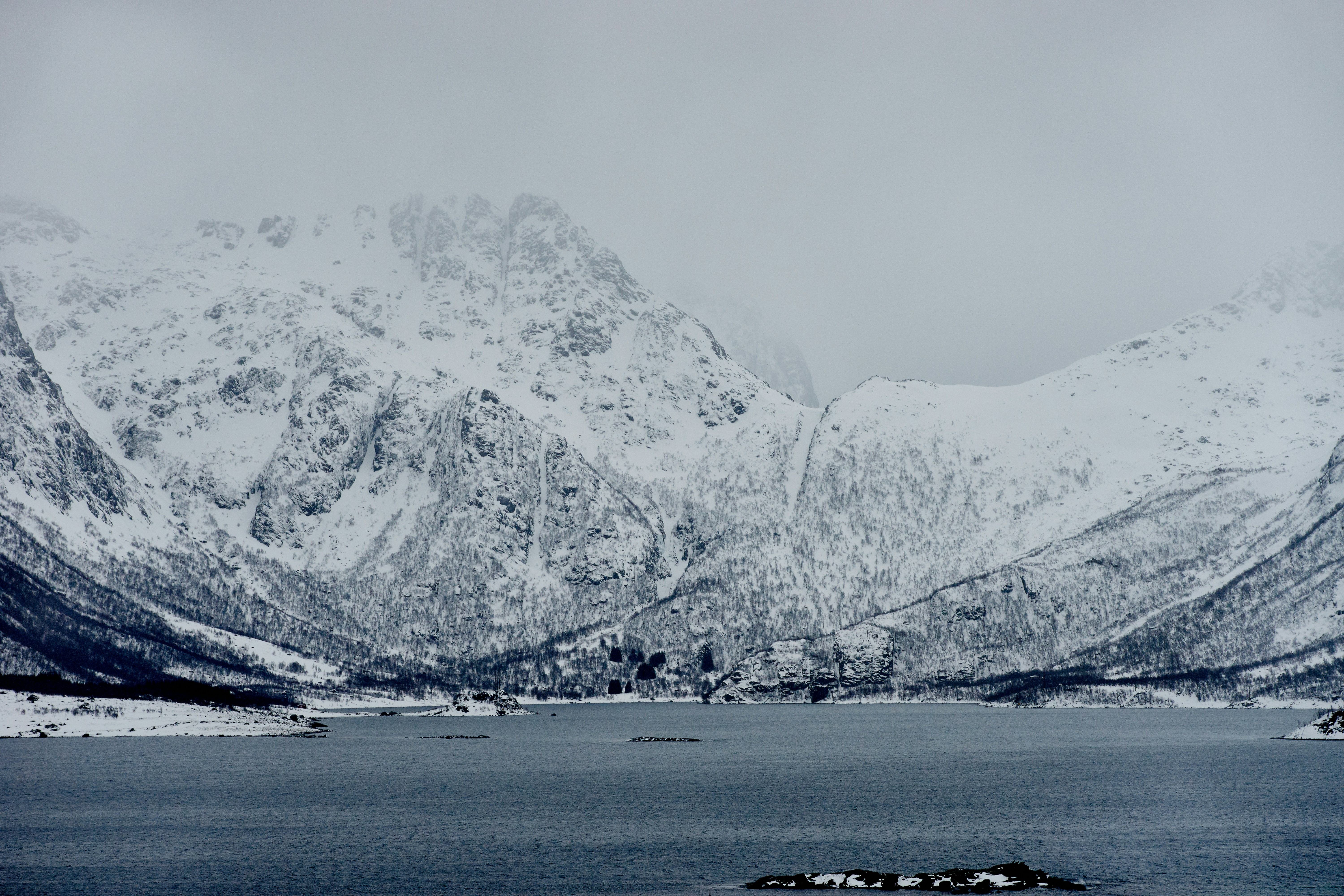 Photo by wolfgang_hasselmann