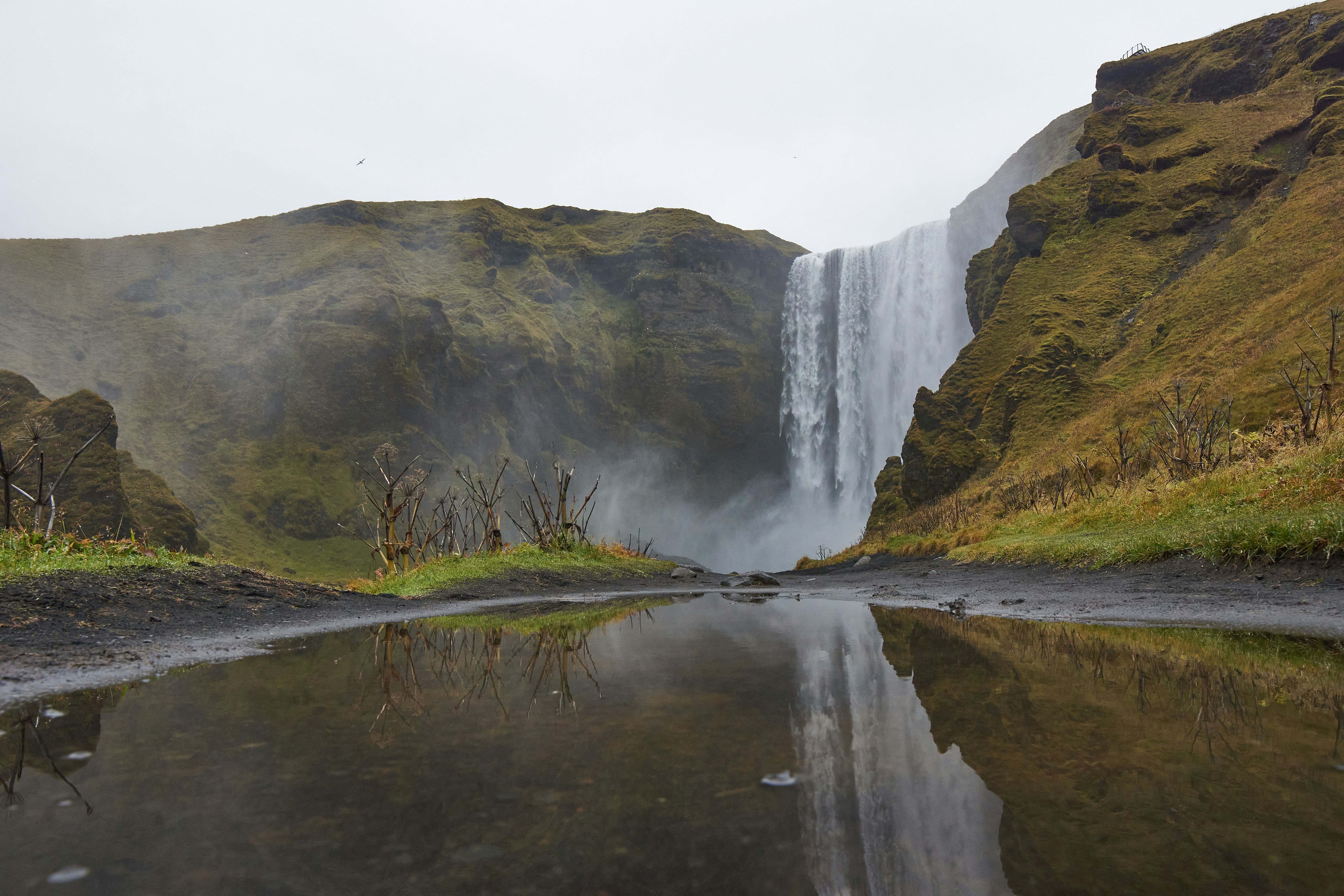 Photo by wolfgang_hasselmann