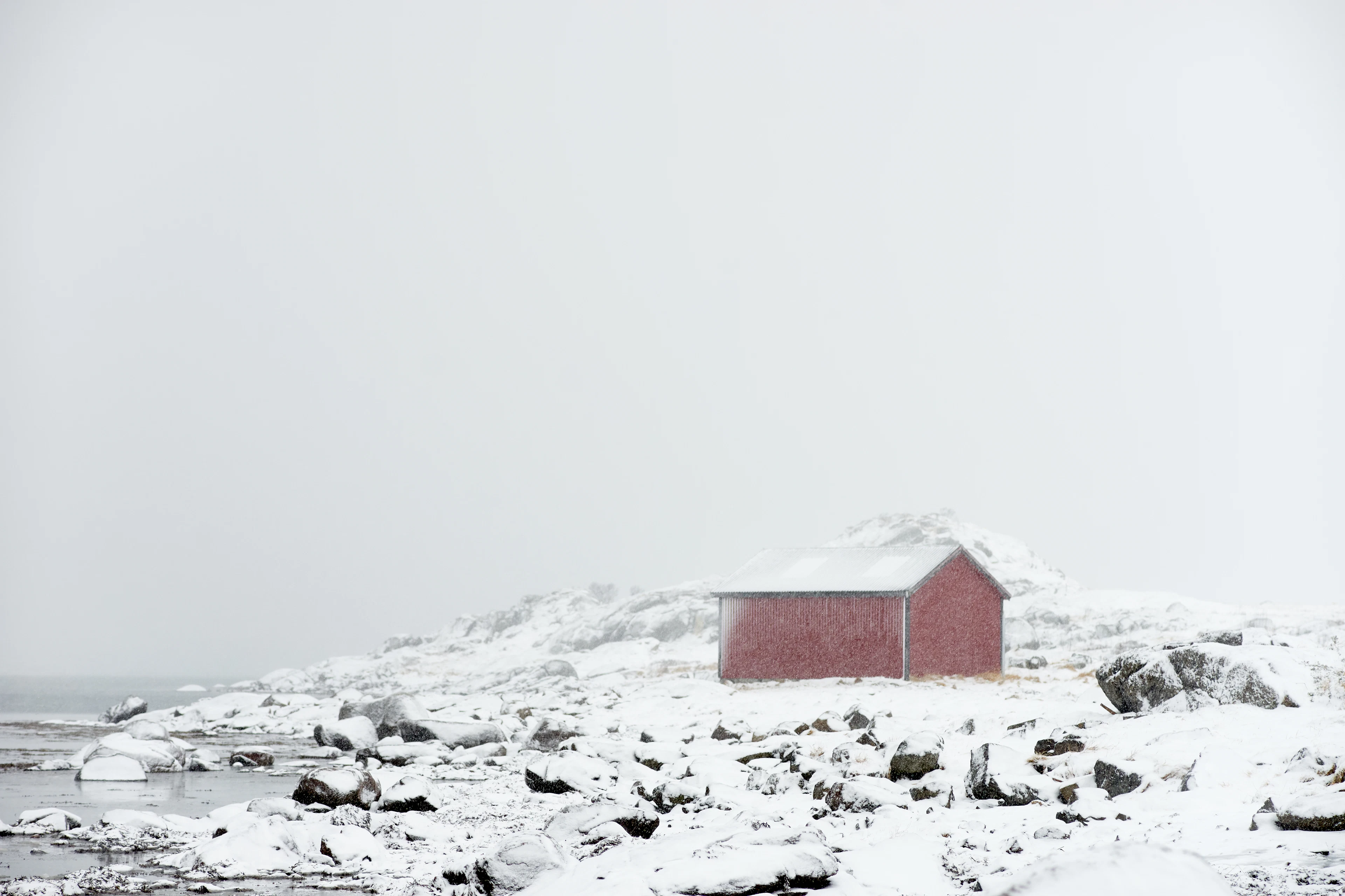 A red timber hut among snow-covered rocks on the shore, in falling snow on the Lofoten Islands in February