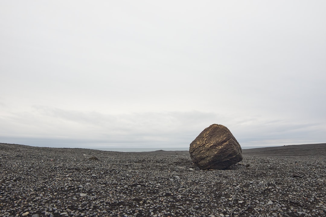 brown rock on gray sand under white cloudy sky during daytime