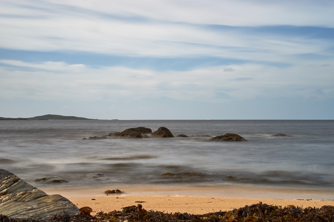 brown sand beach during daytime