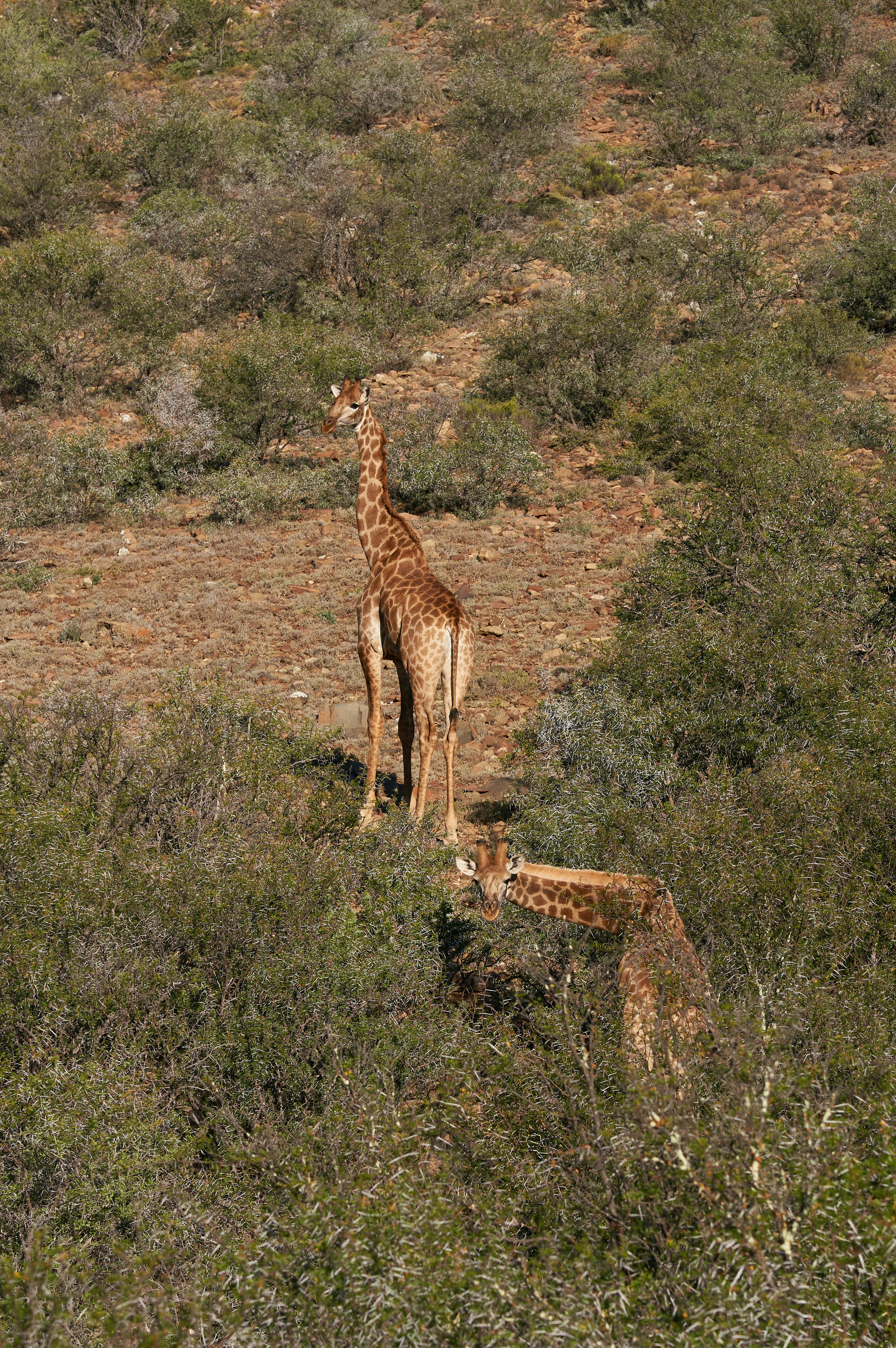 Photo by wolfgang_hasselmann