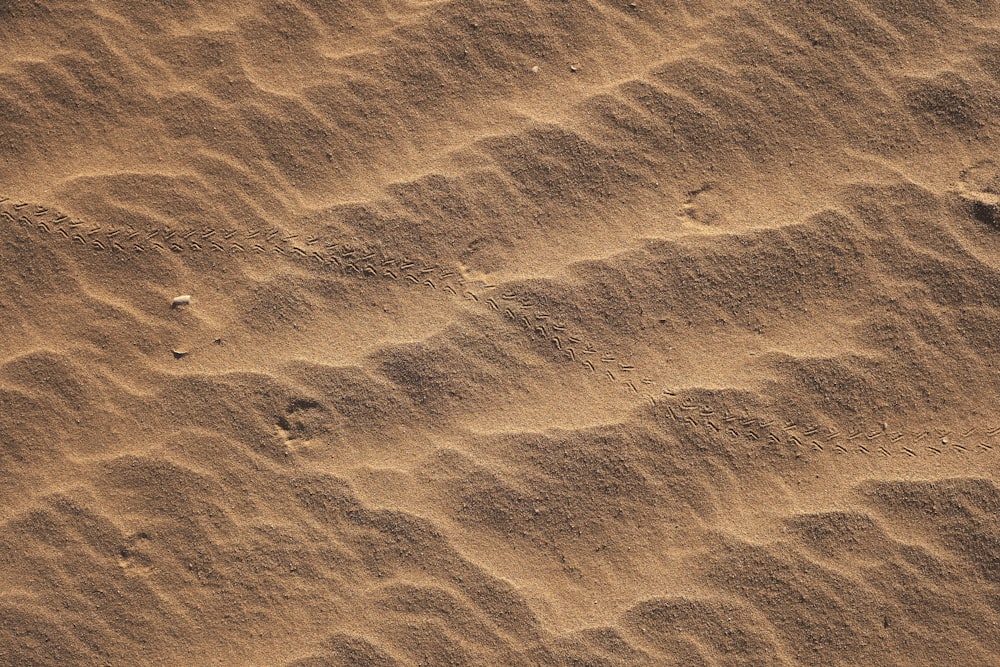 brown sand with water during daytime