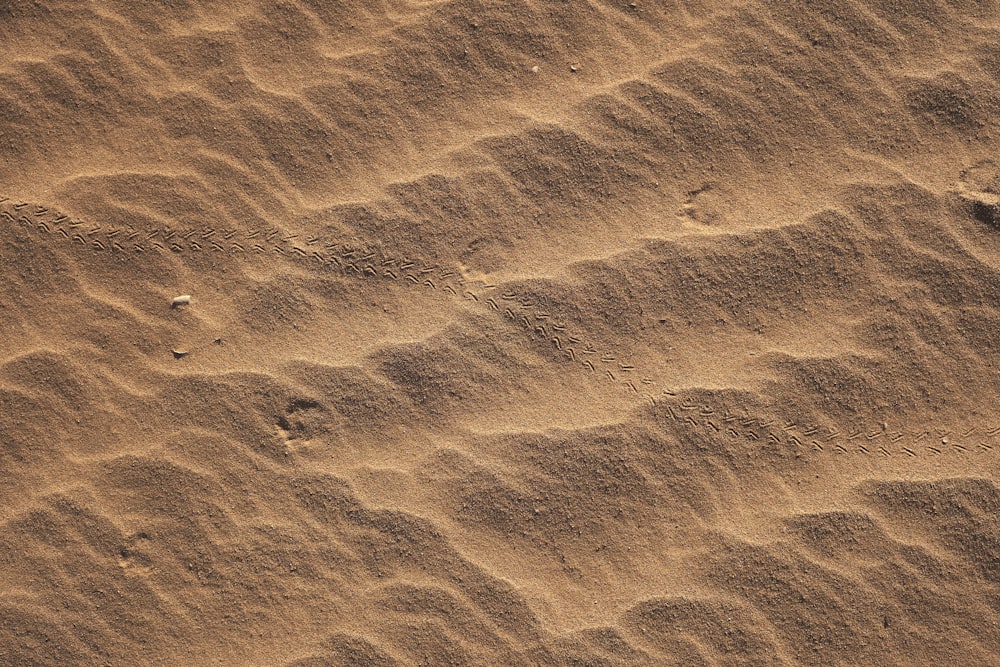 낮에는 물이 있는 갈색 모래
