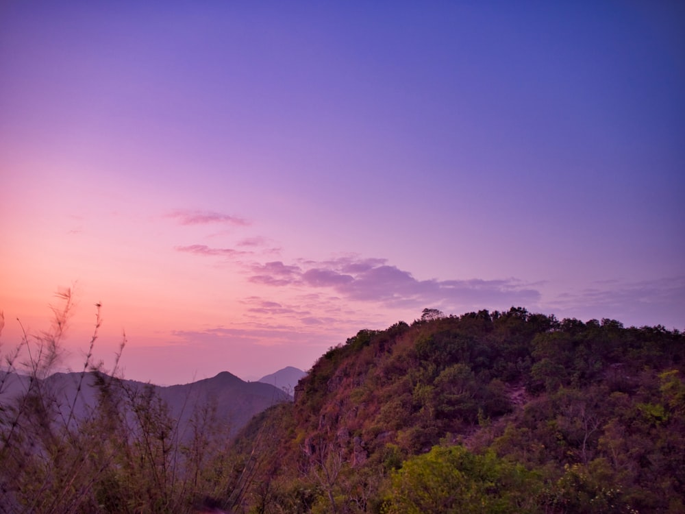 green trees on mountain during sunset