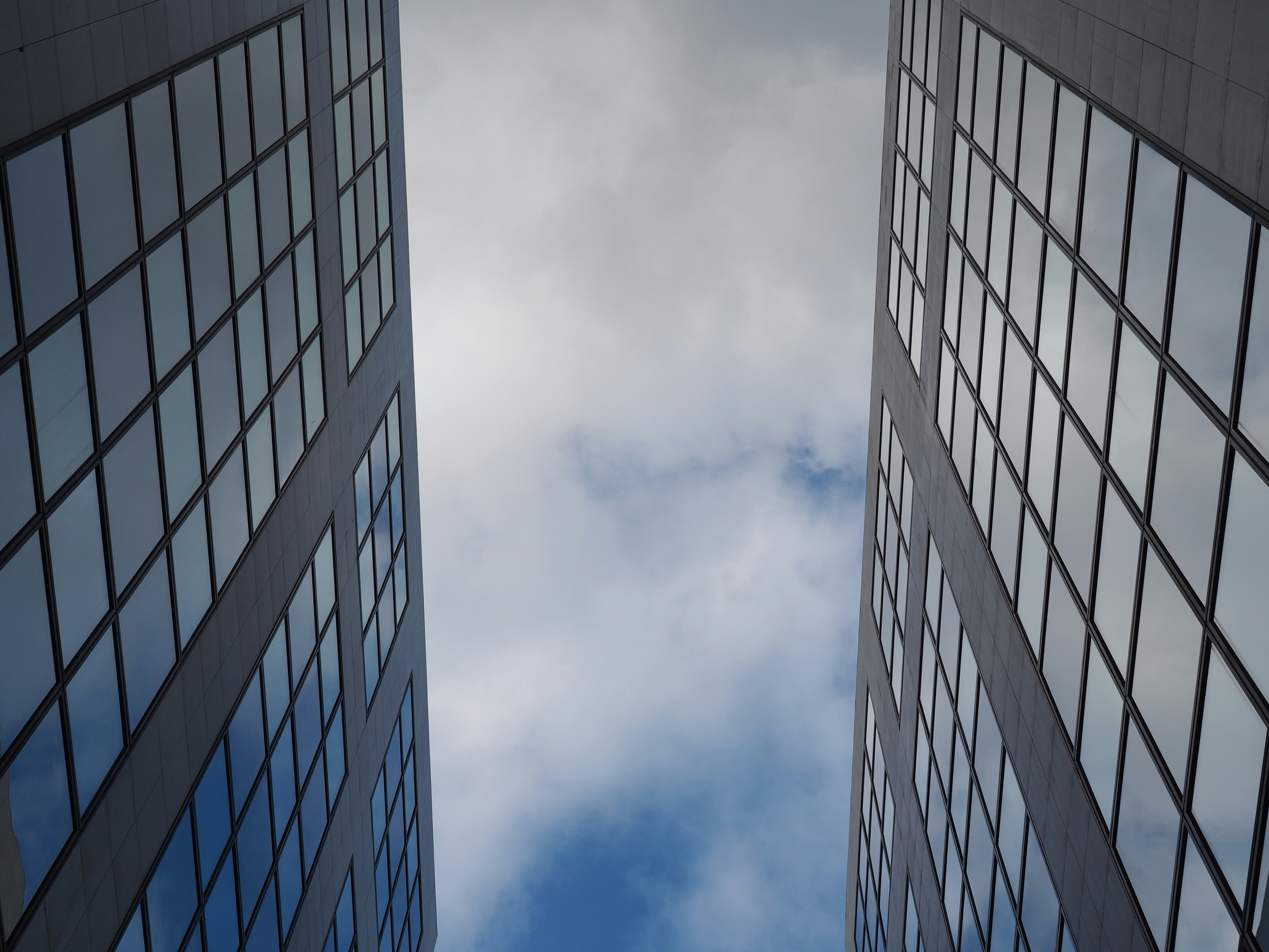 Photo by nimbus_vulpis