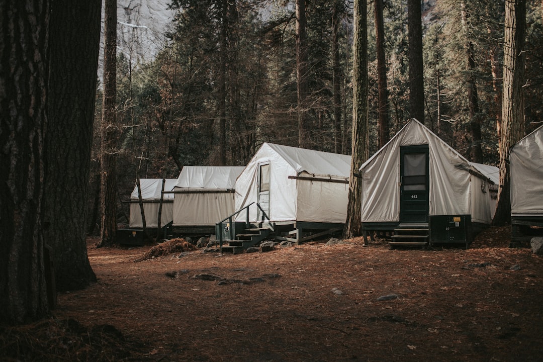 white tent in the middle of forest during daytime