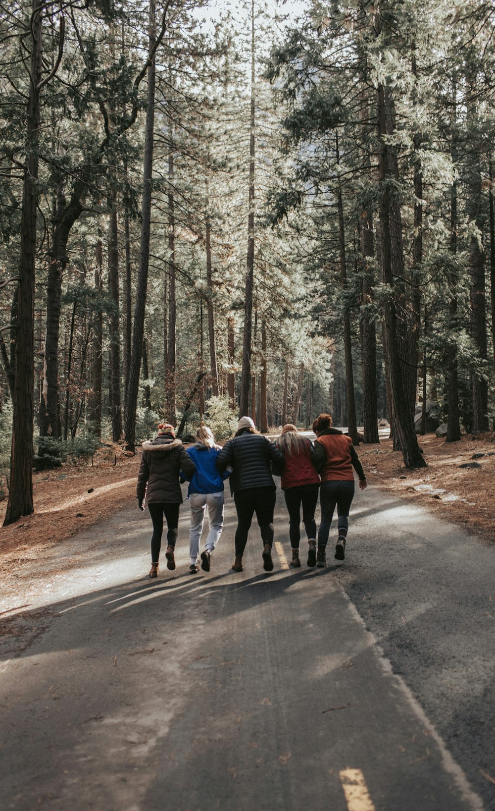 people walking on road between trees during daytime