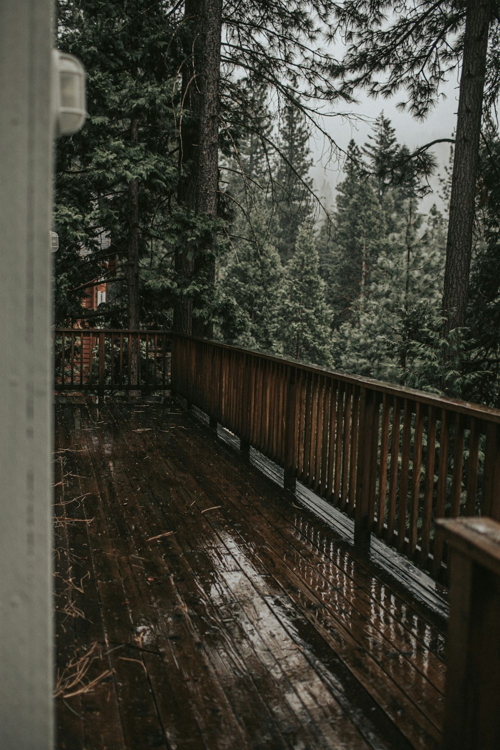 Braune Holzbrücke in der Nähe von grünen Bäumen tagsüber