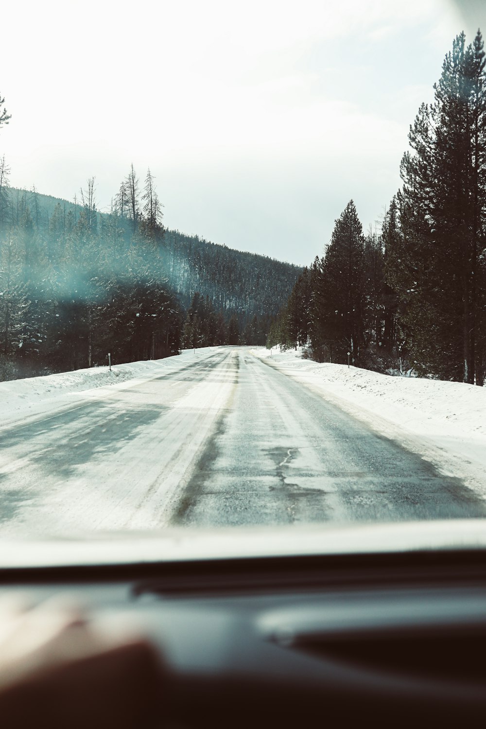 snow covered road between trees during daytime