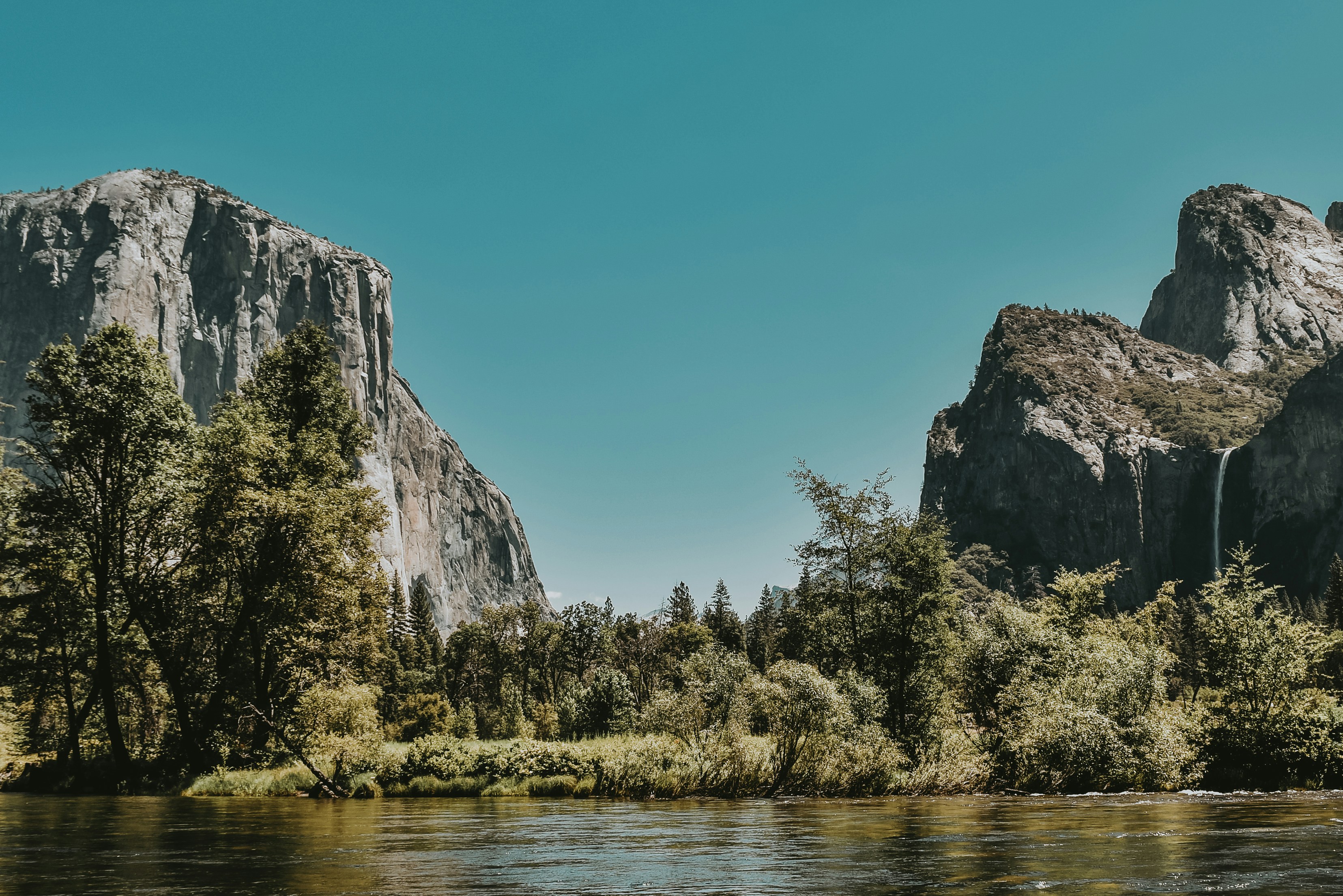 green trees near body of water during daytime