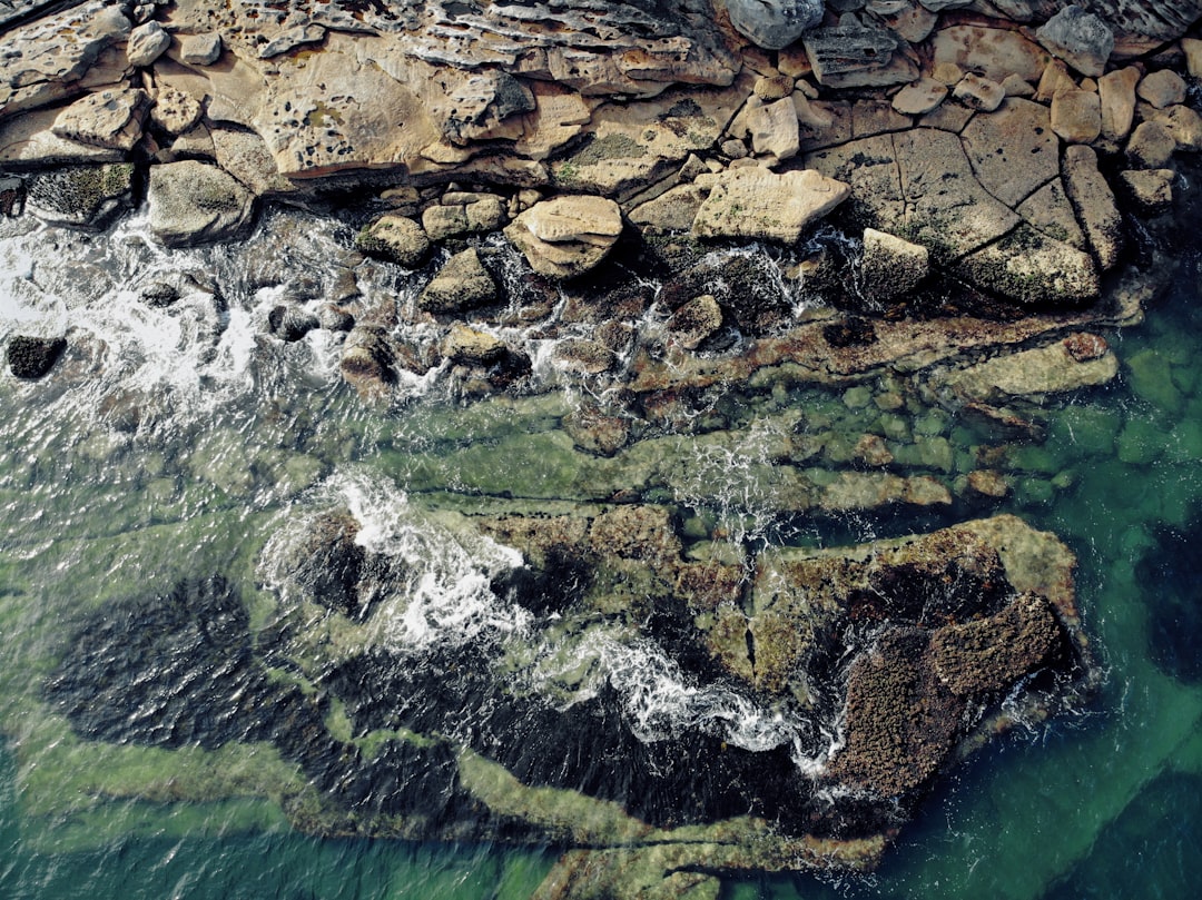 Watercourse photo spot Fairlight Beach Australia