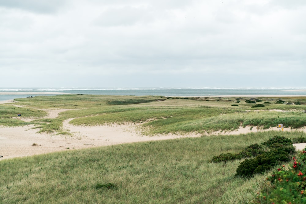 Campo de hierba verde cerca del cuerpo de agua durante el día