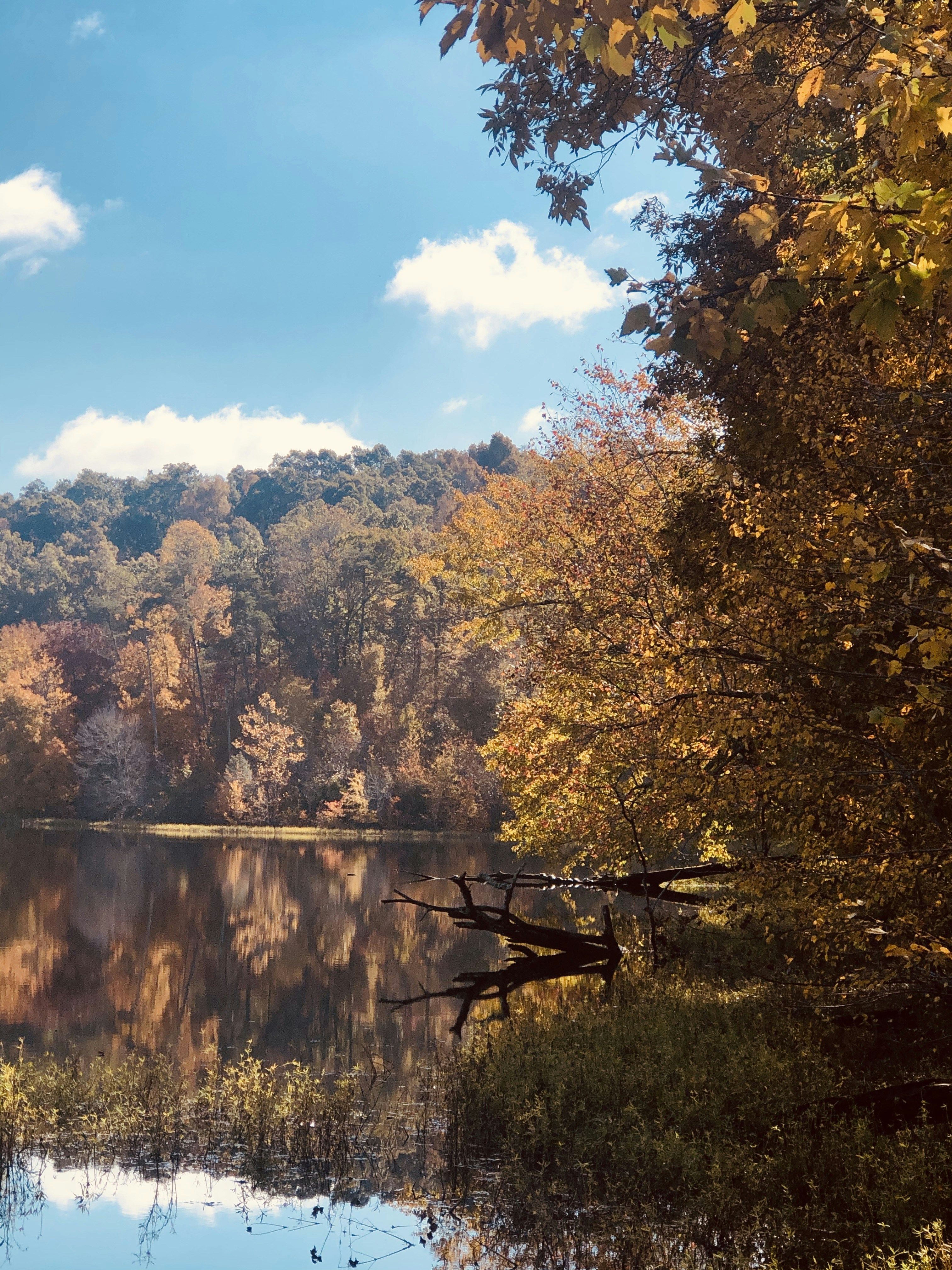 Photo by dwbrashear69