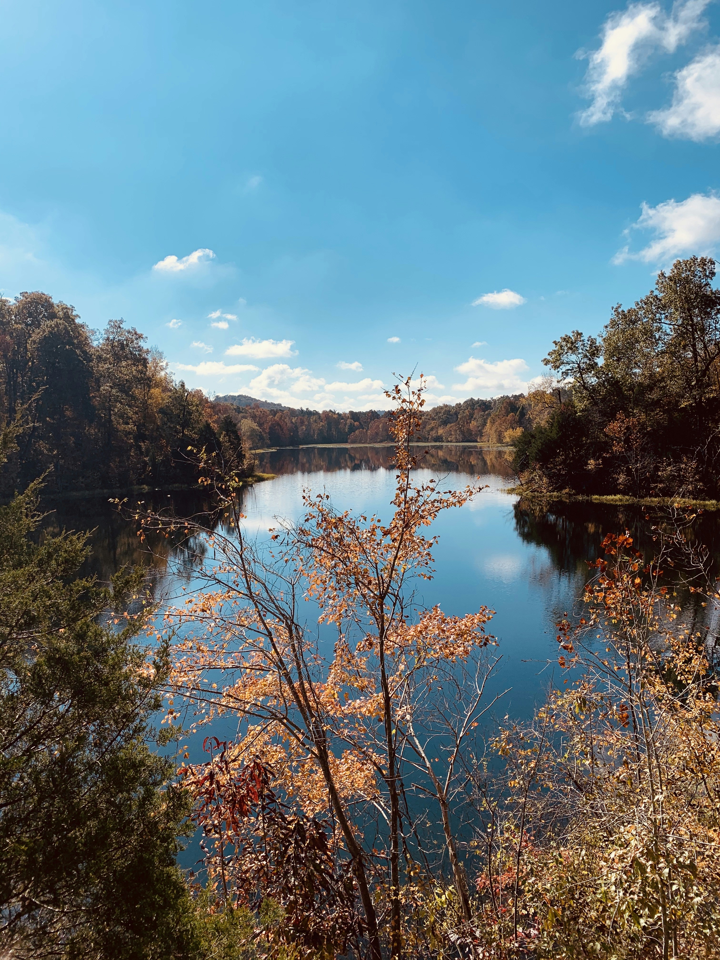 Photo by dwbrashear69