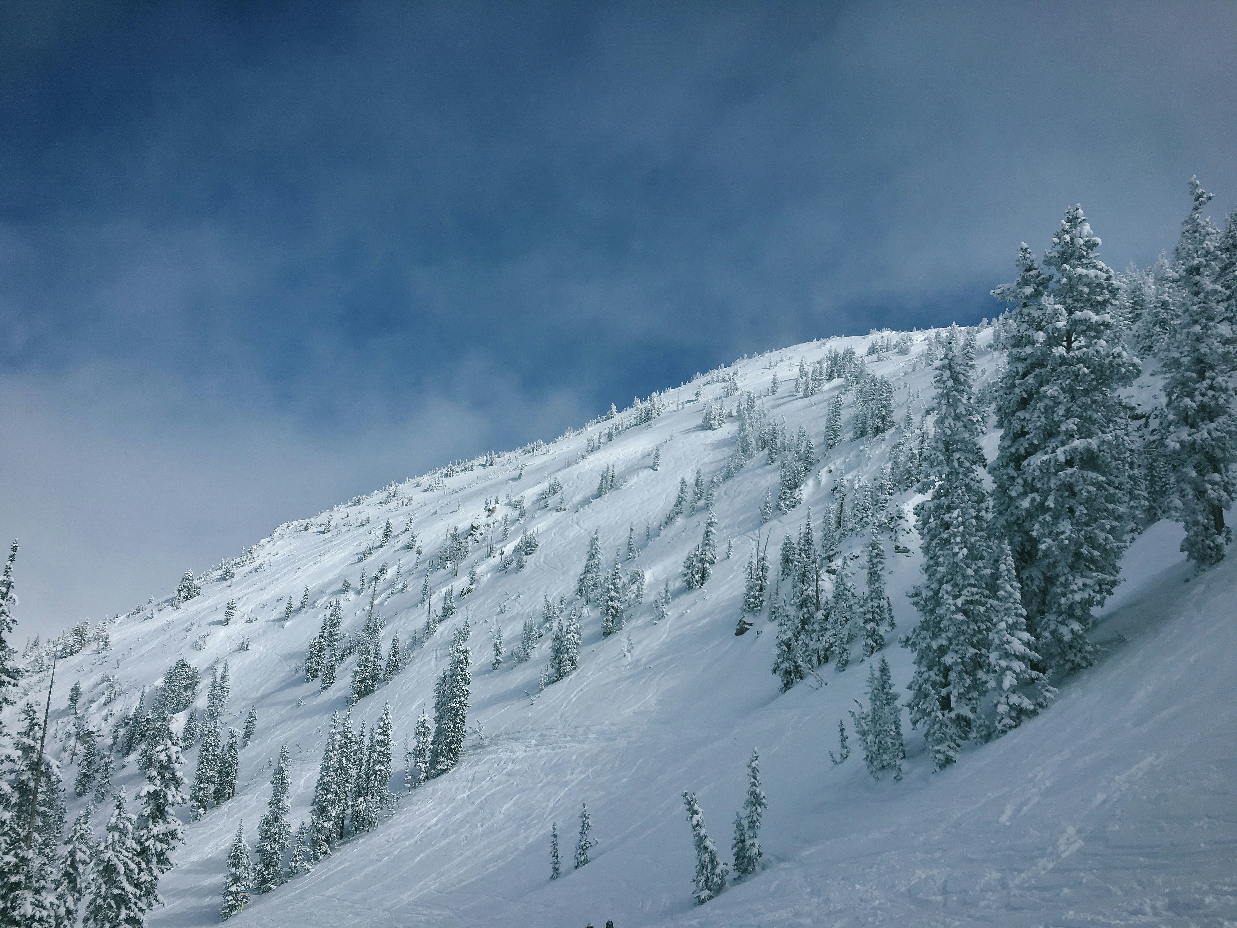 Photo by dq_silviaaa