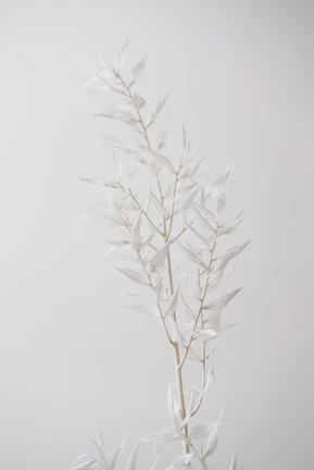 A minimalist nature-inspired artwork with soft neutral colors and expansive white space.