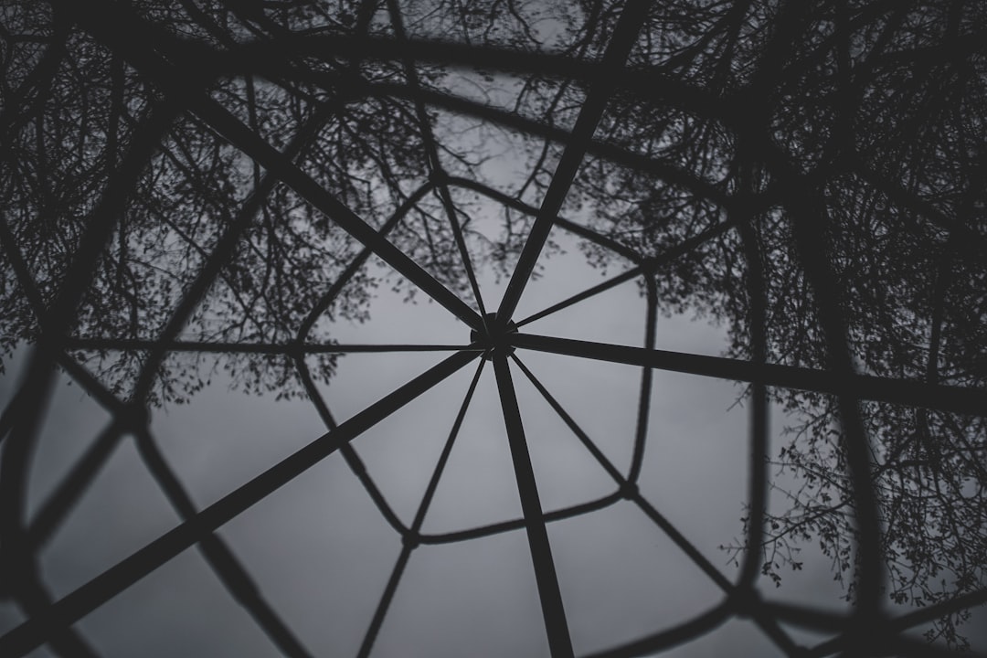 black and white tree branches