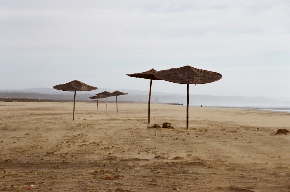 brown and white beach umbrellas on brown sand during daytime