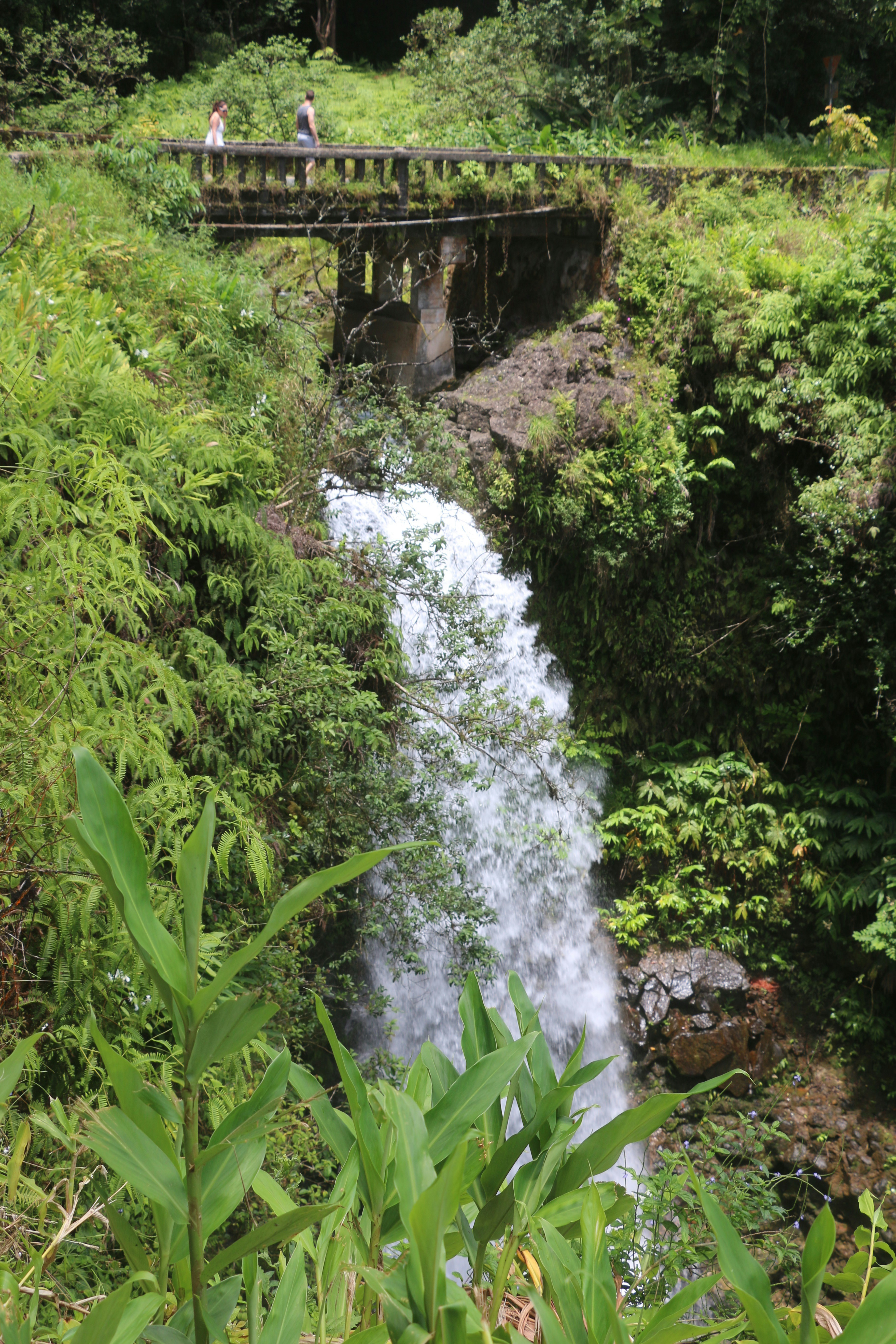 Photo by julesmariee