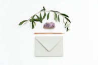 green leaves on white paper