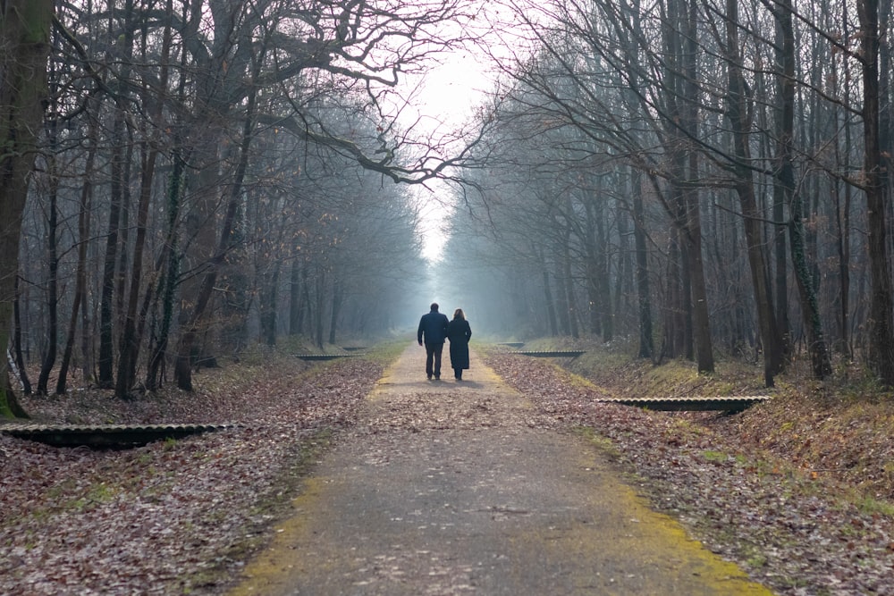 2 people walking on pathway between bare trees during foggy weather
