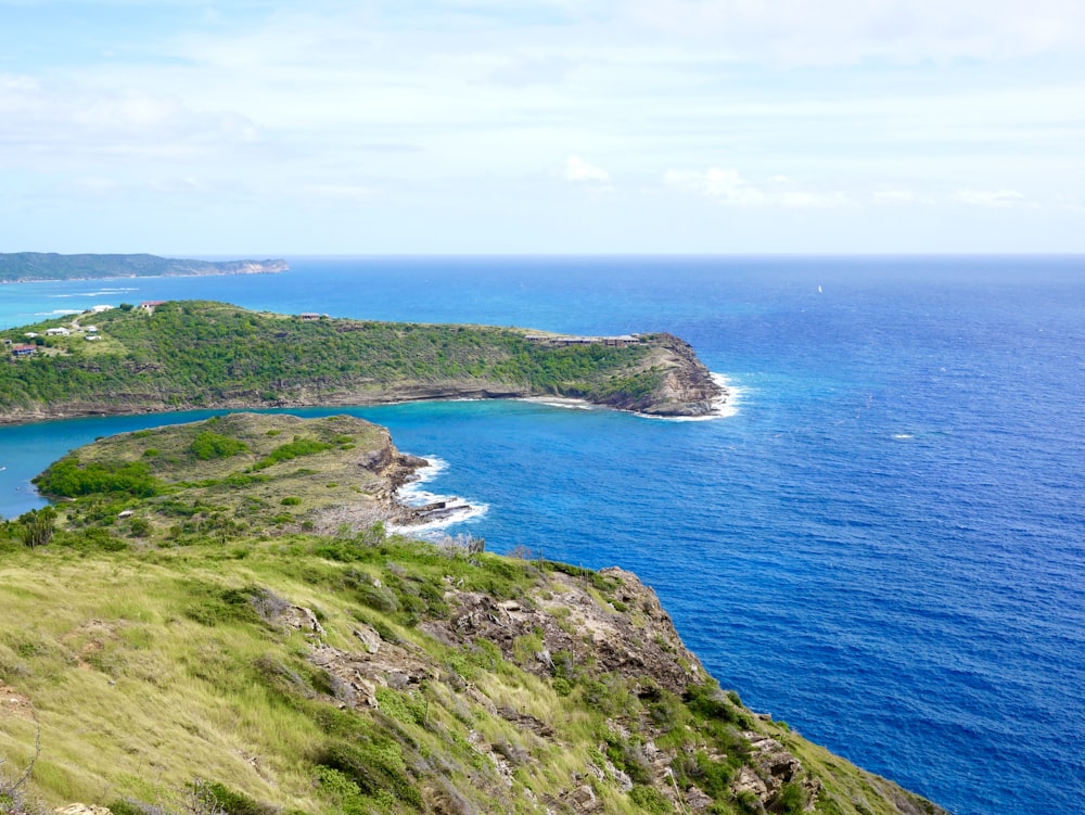 Champ d’herbe verte près de la mer bleue sous le ciel bleu pendant la journée