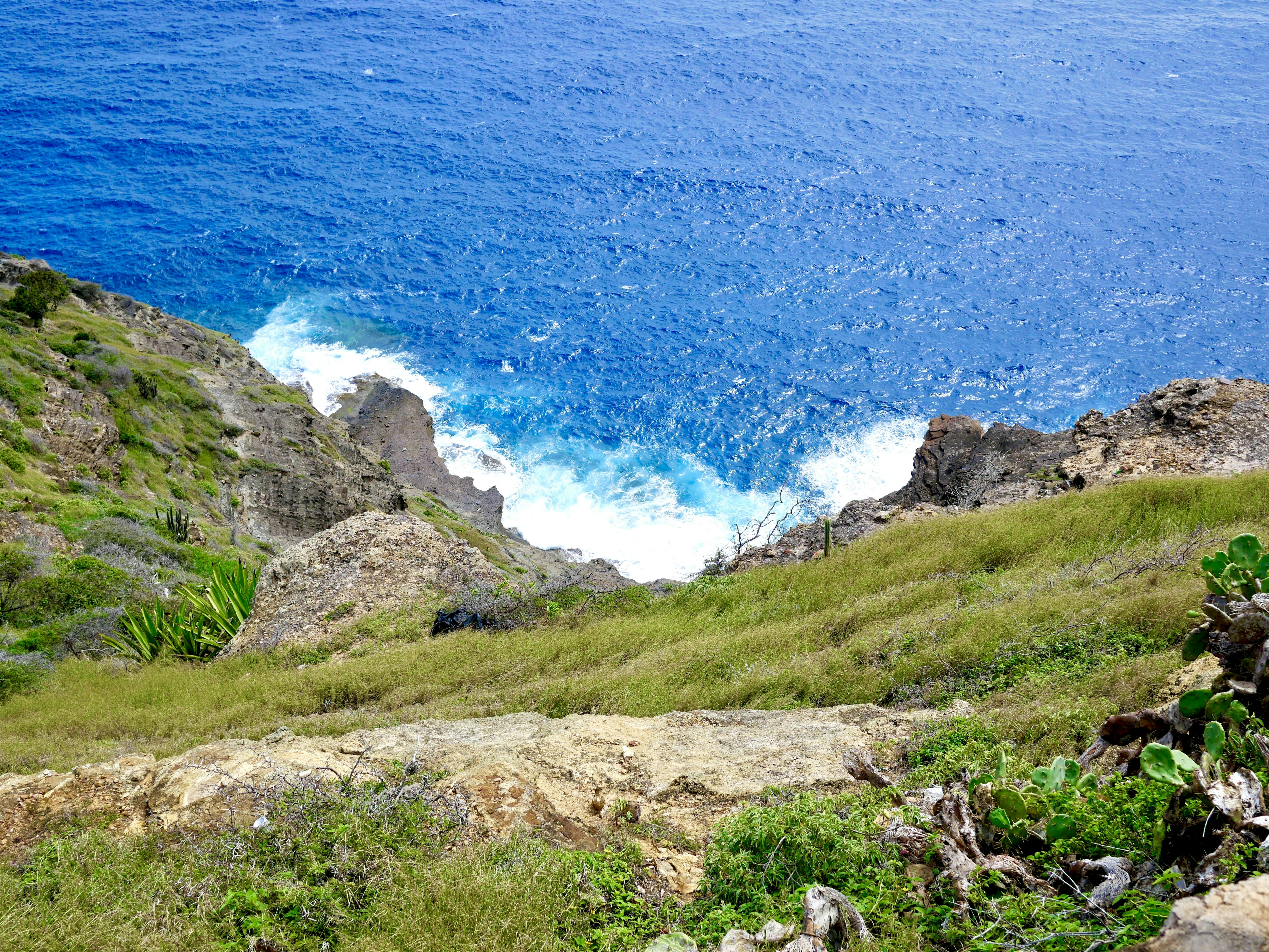 green grass field near blue sea during daytime antigua and barbuda teams background