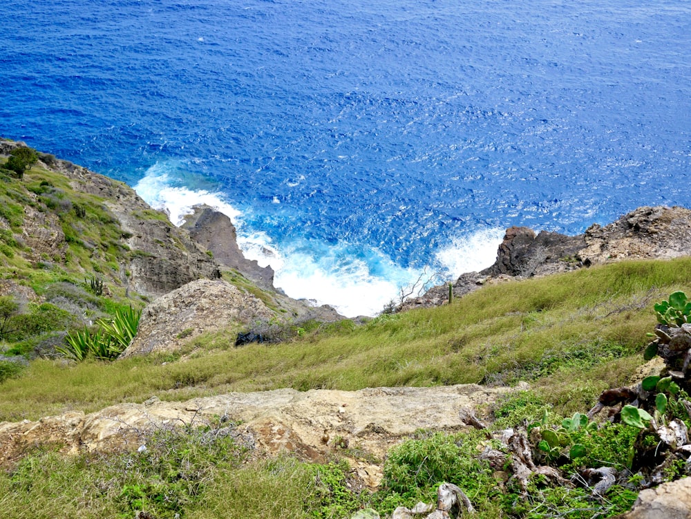 green grass field near blue sea during daytime