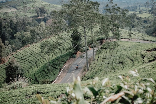 green grass field near body of water during daytime in Bandung Indonesia