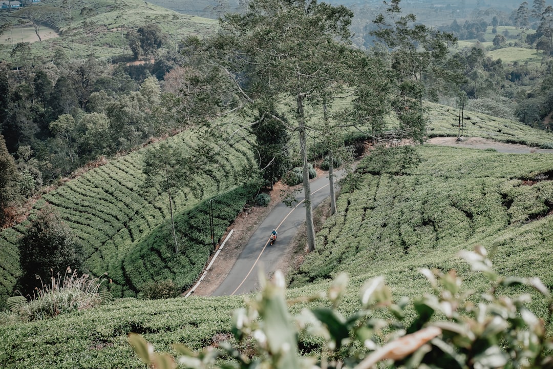 Hill station photo spot Bandung Indonesia