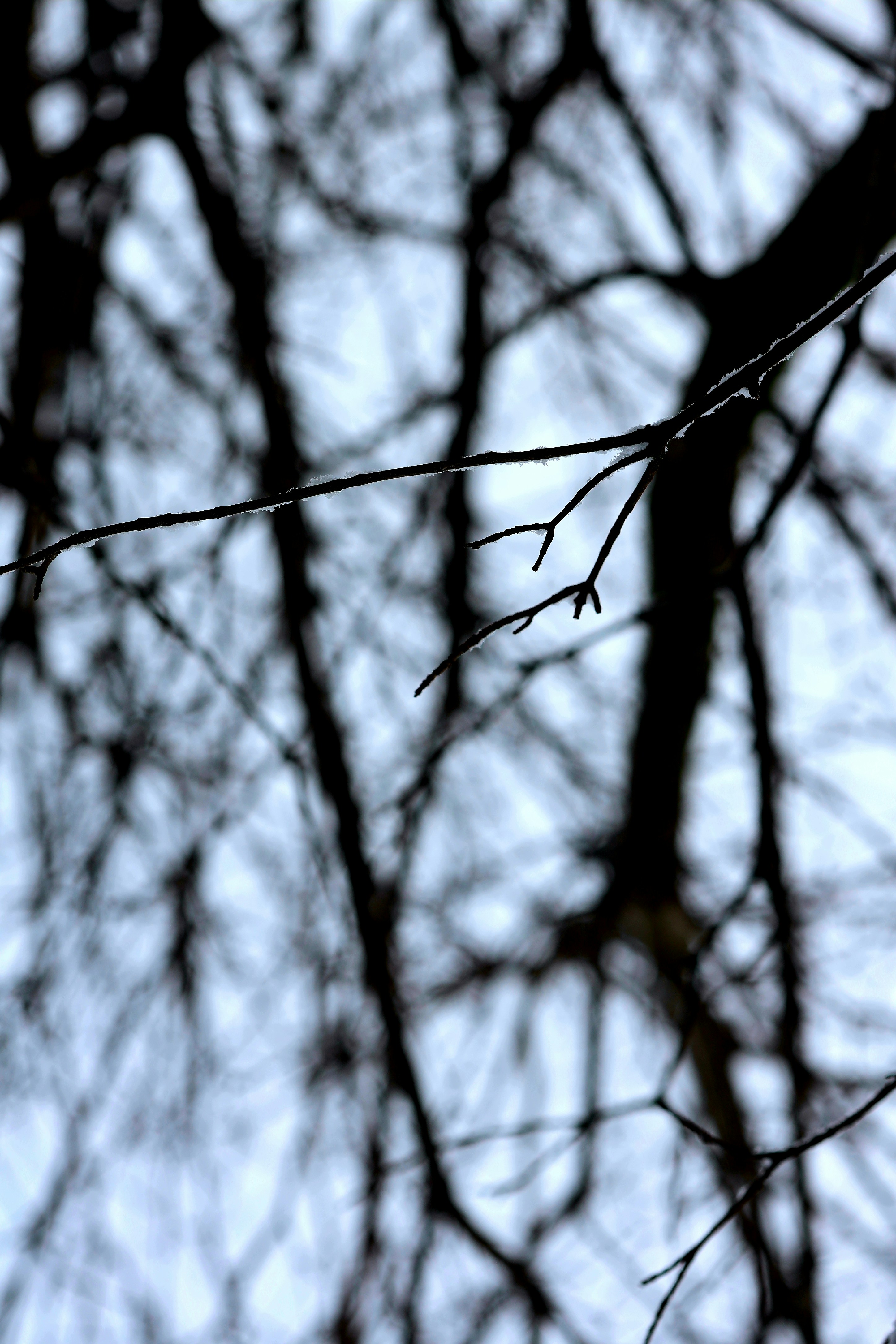 Photo by richardworks