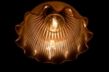 A glowing lightbulb encased in a ribbed, ruffled lampshade, casting warm, golden light against a dark background. The intricate pattern of the shade creates a visually striking, symmetrical design, highlighting the filament within the bulb.