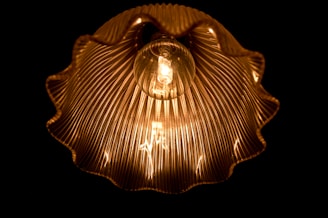 A glowing lightbulb encased in a ribbed, ruffled lampshade, casting warm, golden light against a dark background. The intricate pattern of the shade creates a visually striking, symmetrical design, highlighting the filament within the bulb.