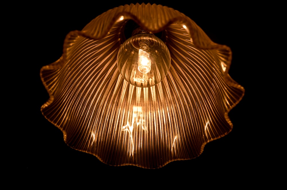 brown and black light fixture