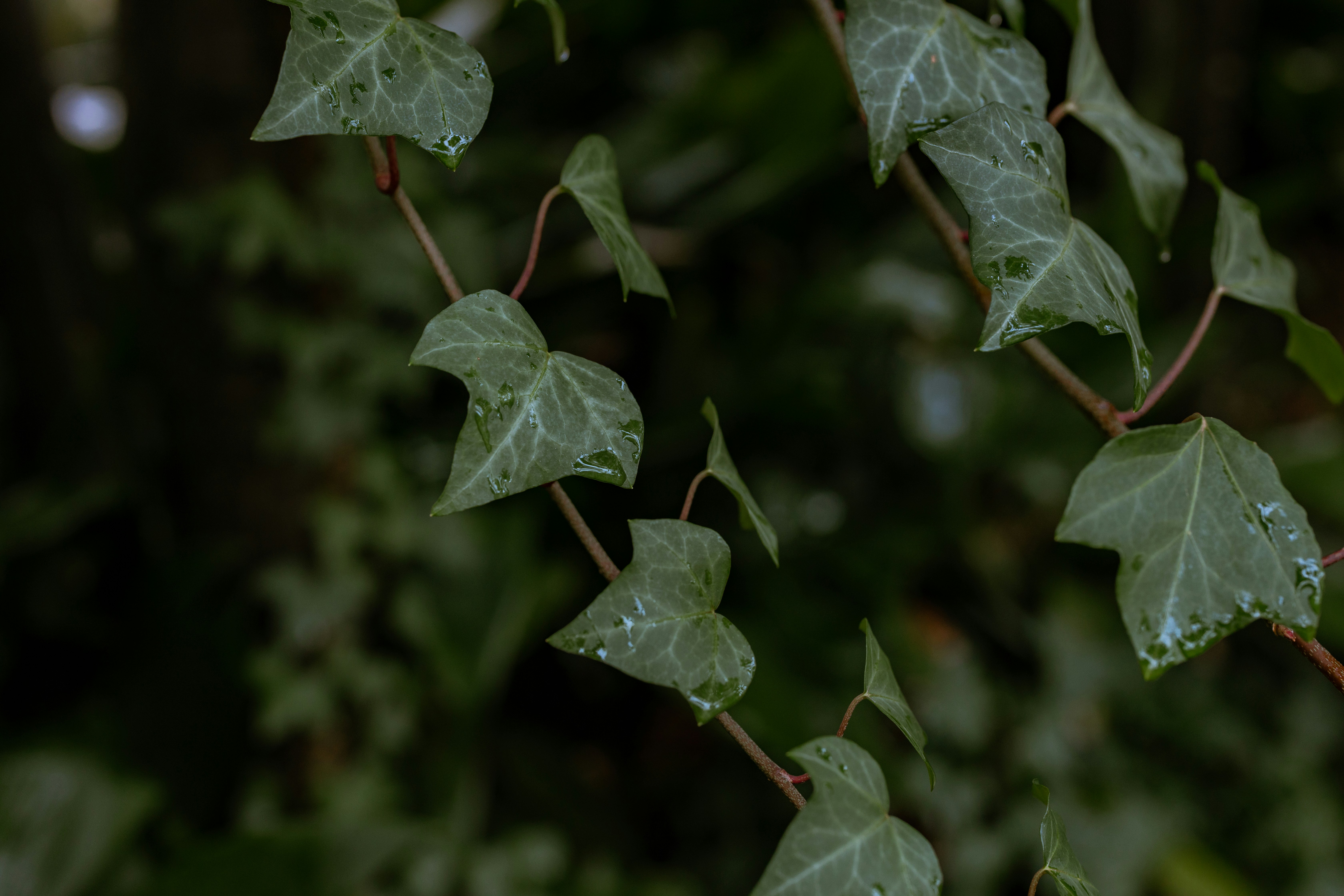 Photo by drewdempsey