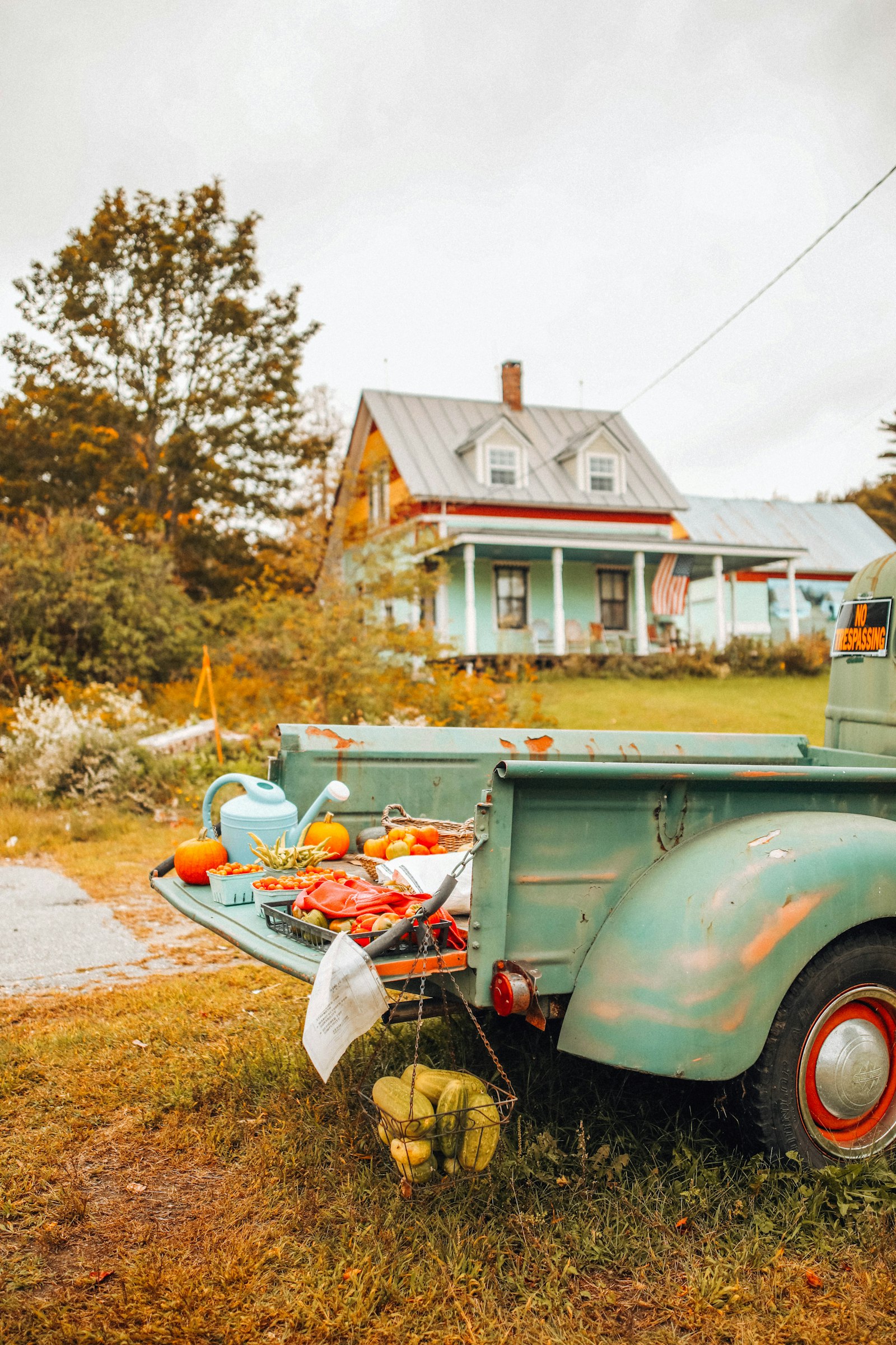 Canon EOS 5D Mark IV + Sigma 24-35mm F2 DG HSM Art sample photo. Green and white vintage photography