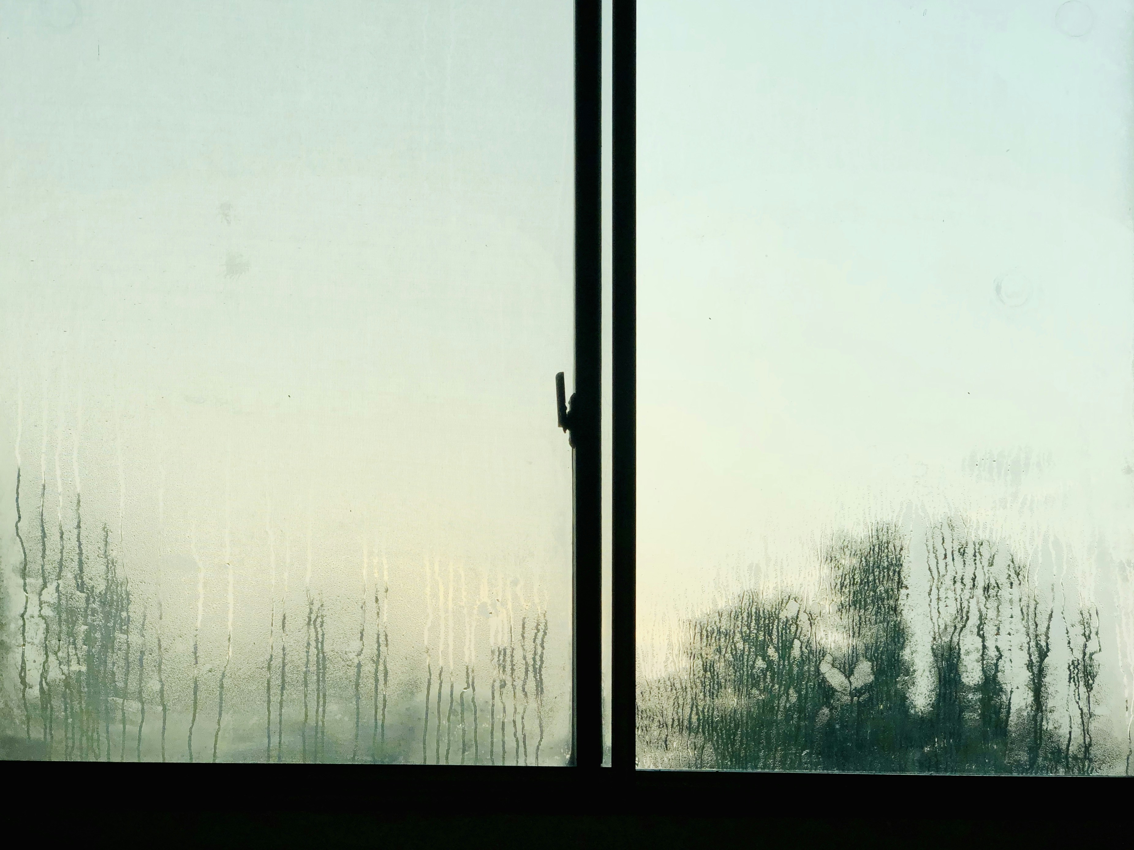 Photo by yooho962464