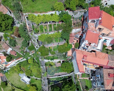 aerial view of houses and trees during daytime