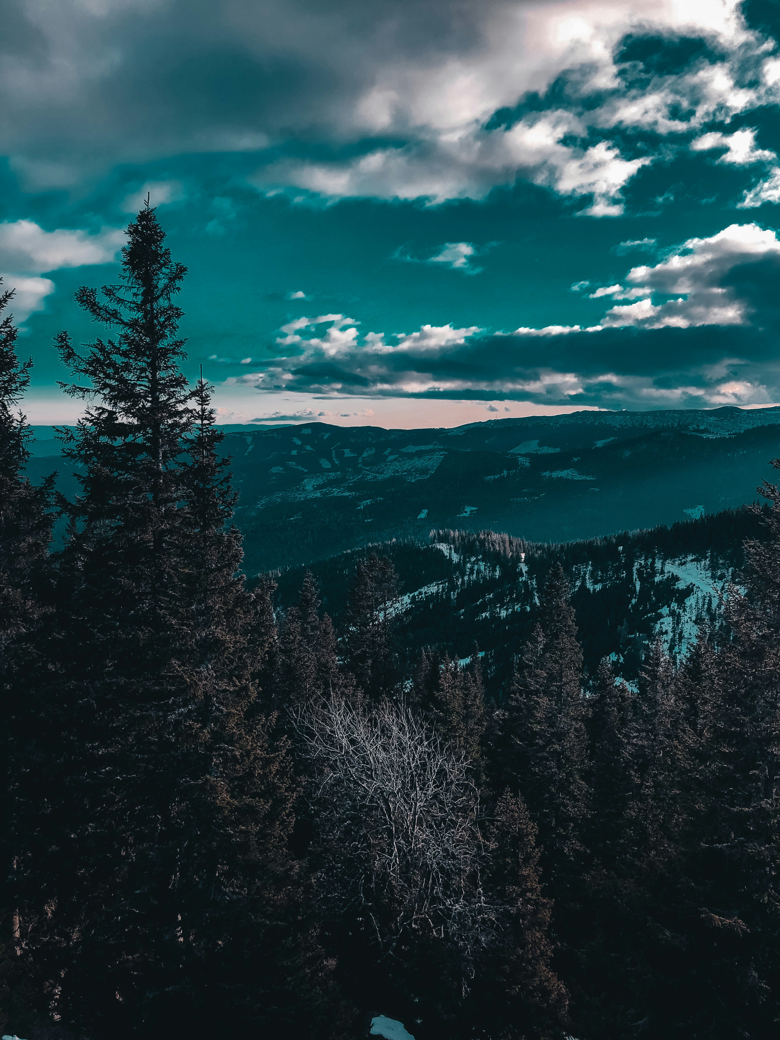 Photo by fannigondocs