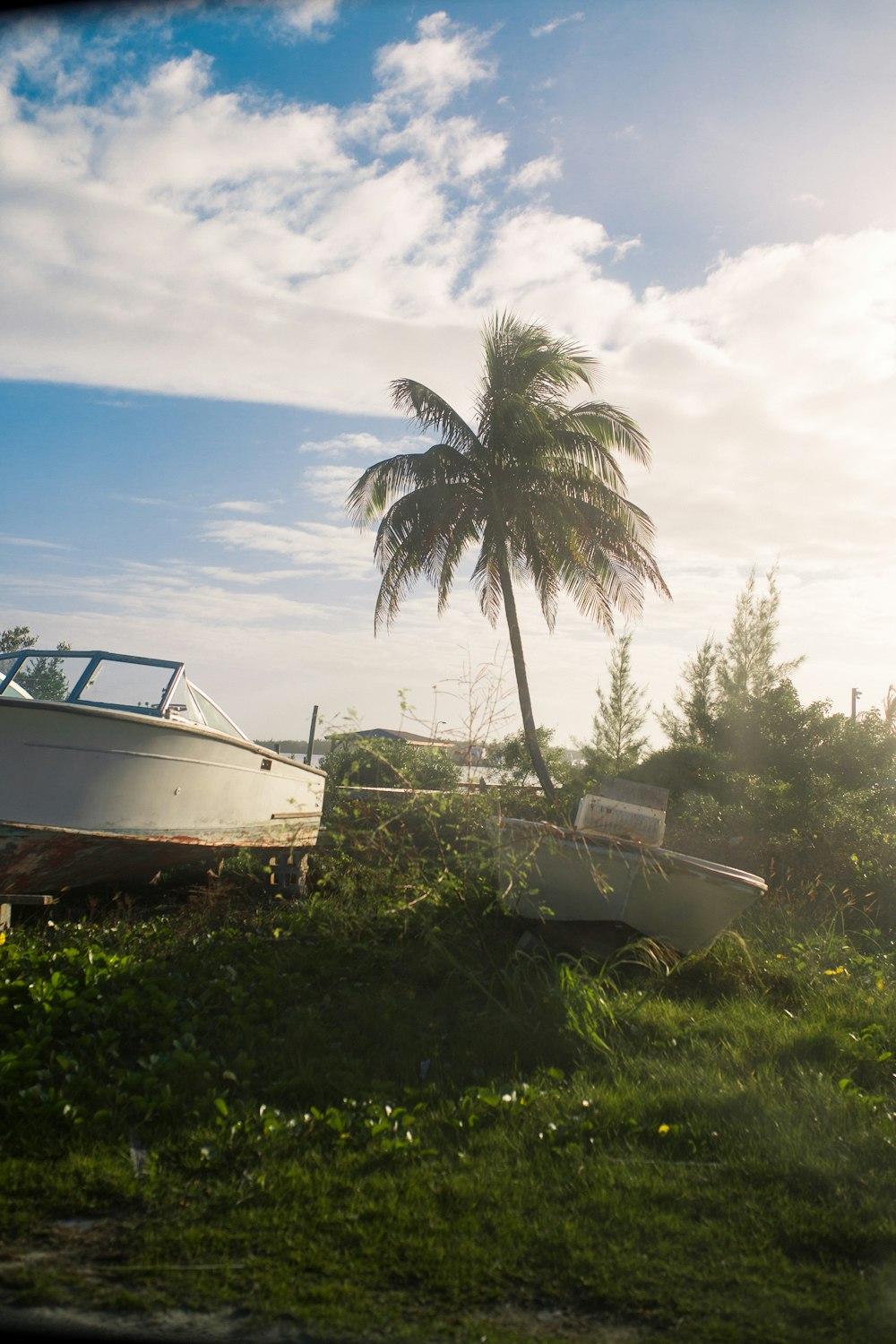 white and brown boat on green grass during daytime