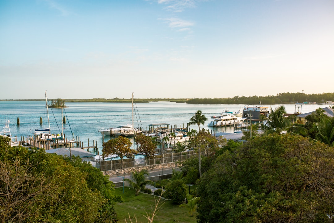Exploring Bimini's Hidden Gems 7 Unique Experiences on the Bahamas'… — Exploring Bimini's Hidden Gems 7 Unique