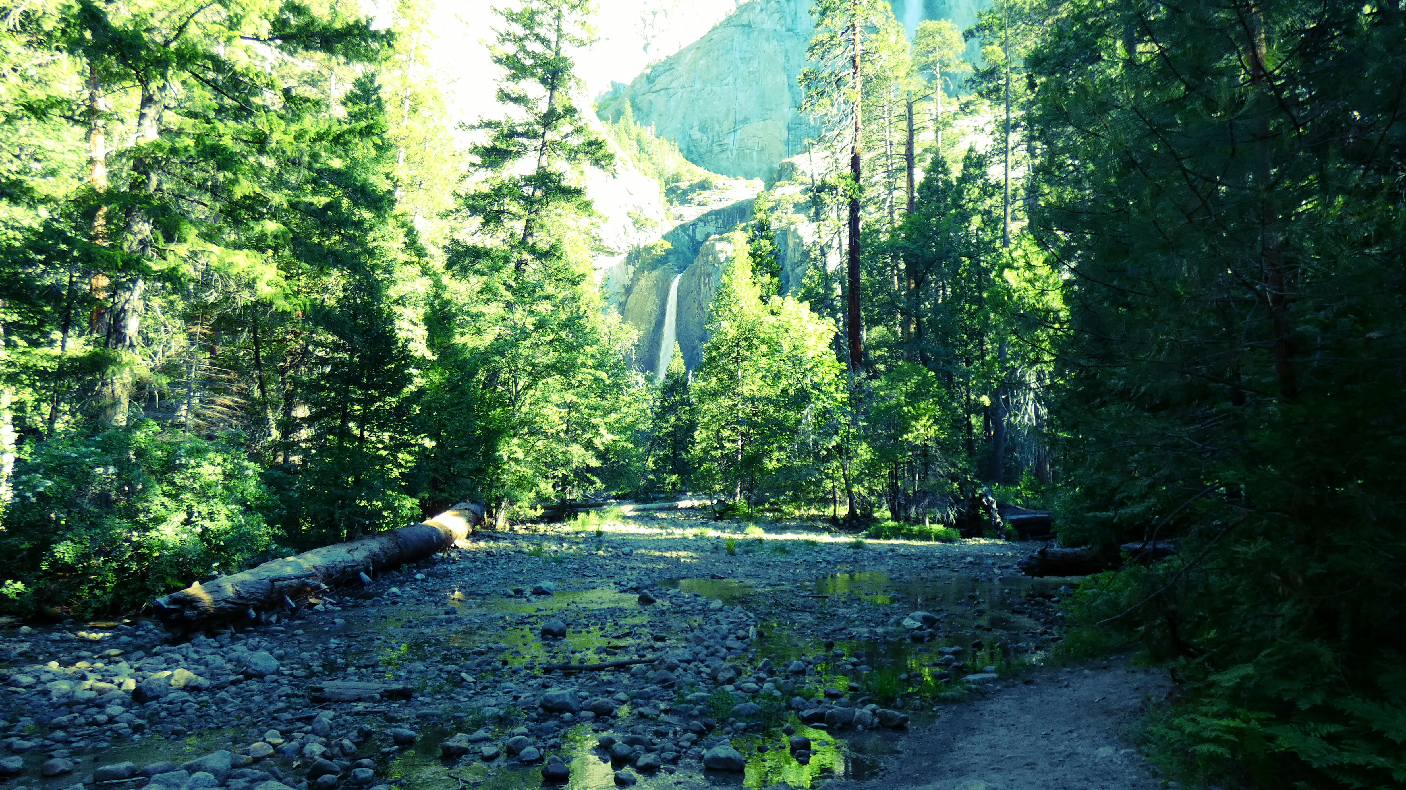 versions of safari that work with yosemite