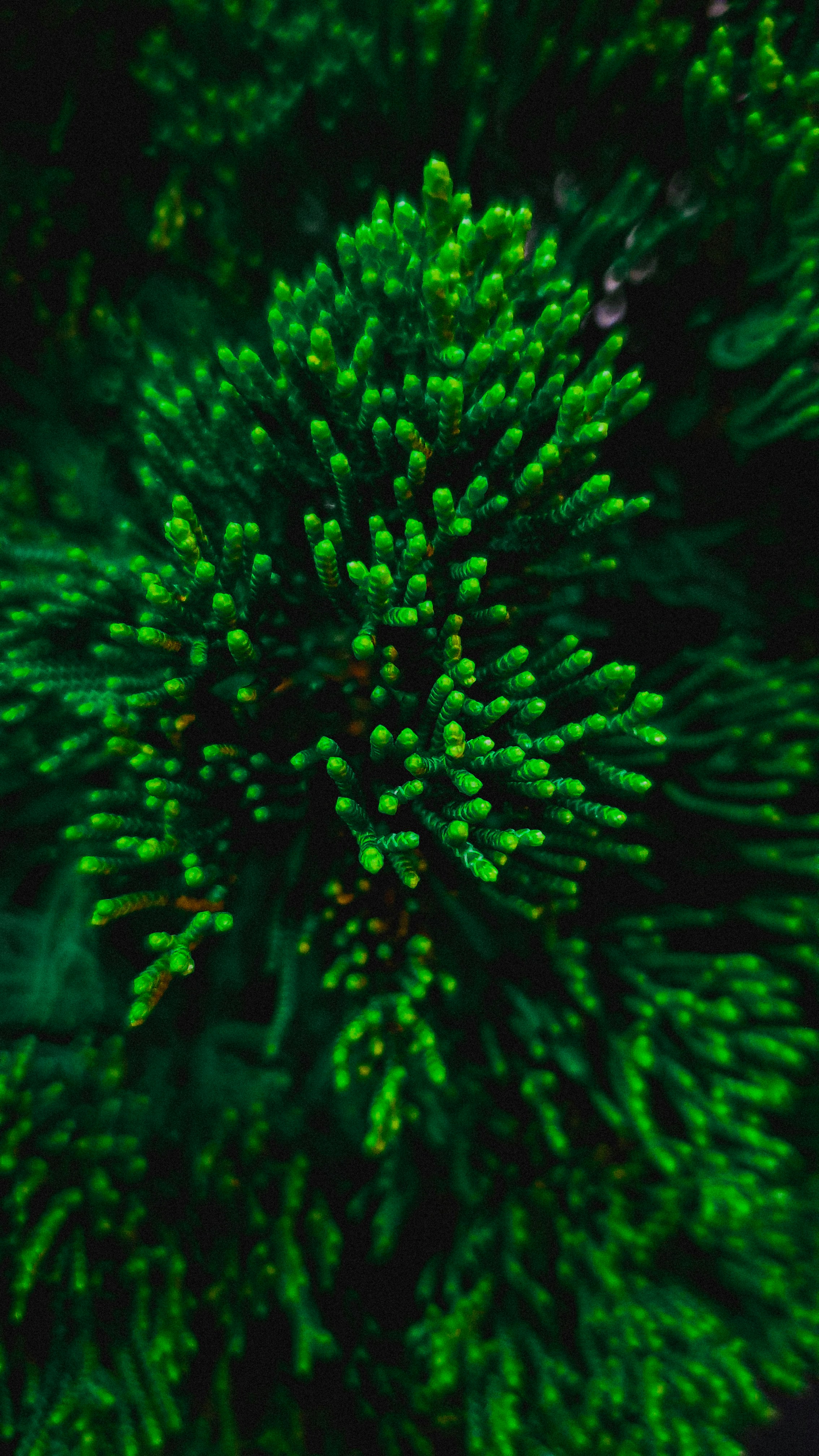 Photo by 35elementos