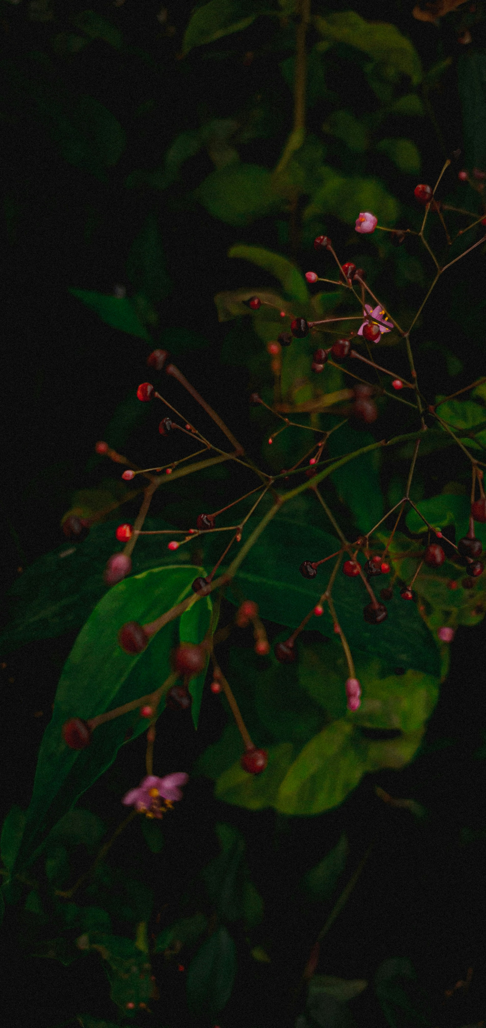 Photo by 35elementos