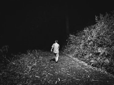 A solitary figure walks down a dimly lit path surrounded by dense foliage. The environment is dark with a strong contrast between the illuminated path and shadows. The scene conveys a sense of isolation and mystery.