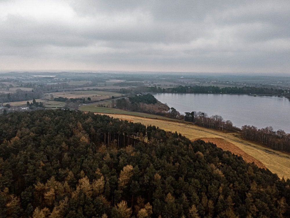 green trees near body of water under cloudy sky during daytime