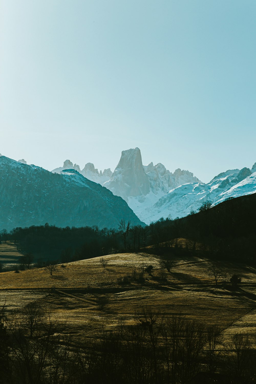 green trees near snow covered mountain during daytime