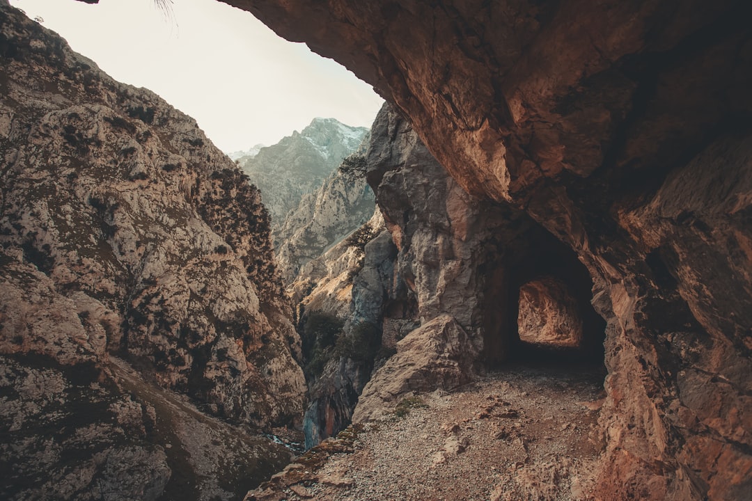 brown rock formation during daytime